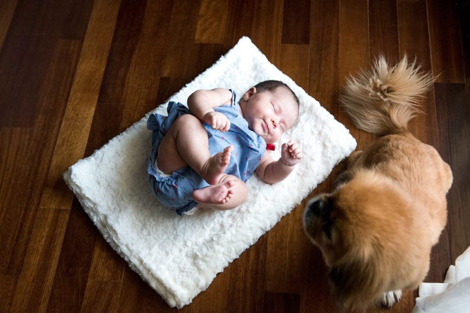 new_born_girl_babe_family_portrait_tinos_athens_panagiotis_chalkias_photography 04
