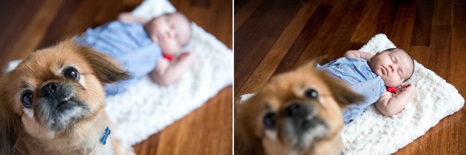 new_born_girl_babe_family_portrait_tinos_athens_panagiotis_chalkias_photography 05